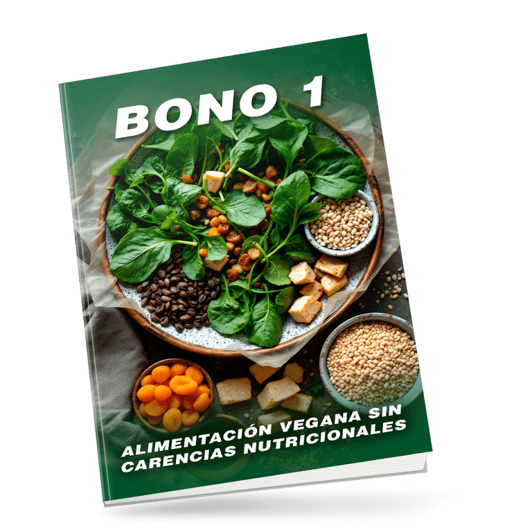 VEGANÍZATE: 31 Recetas Veganas Deliciosas y Accesibles
